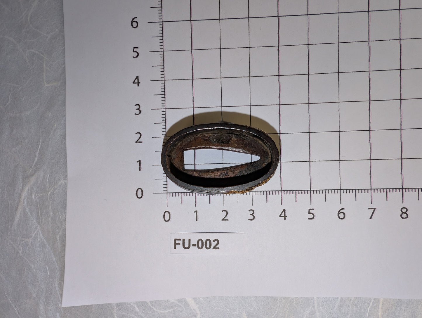 Fuchi with Gold Dragon Among Clouds - FU-002