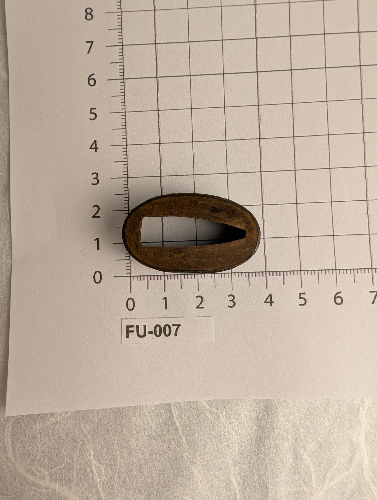 Fuchi with Wave and Shells - FU-007