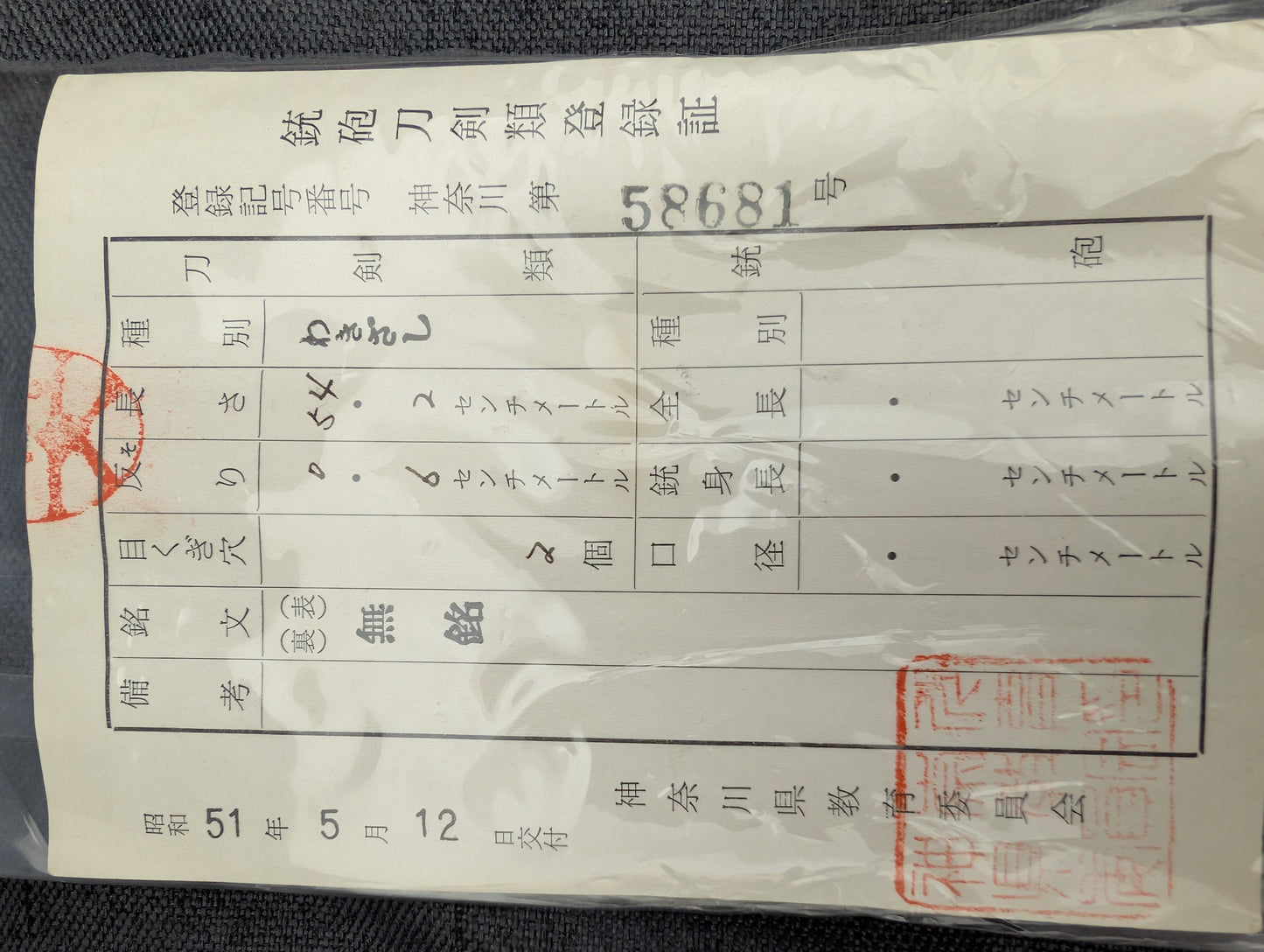 Mumei Wakizashi 54.2cm with Iron Geometric Tsuba and Brass Fittings – NT-005