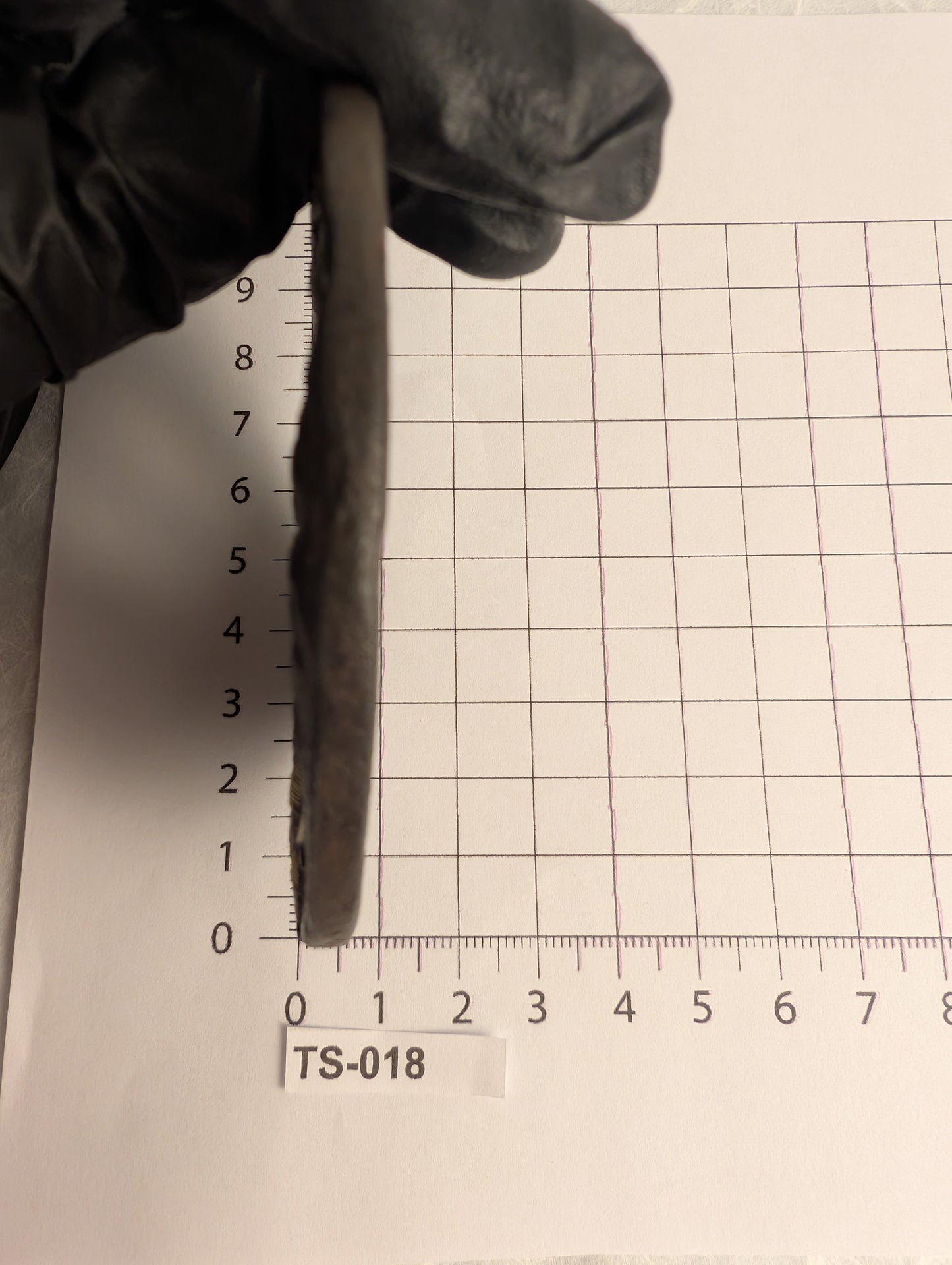 Iron Tsuba with Samurai and Plum Blossoms - TS-018