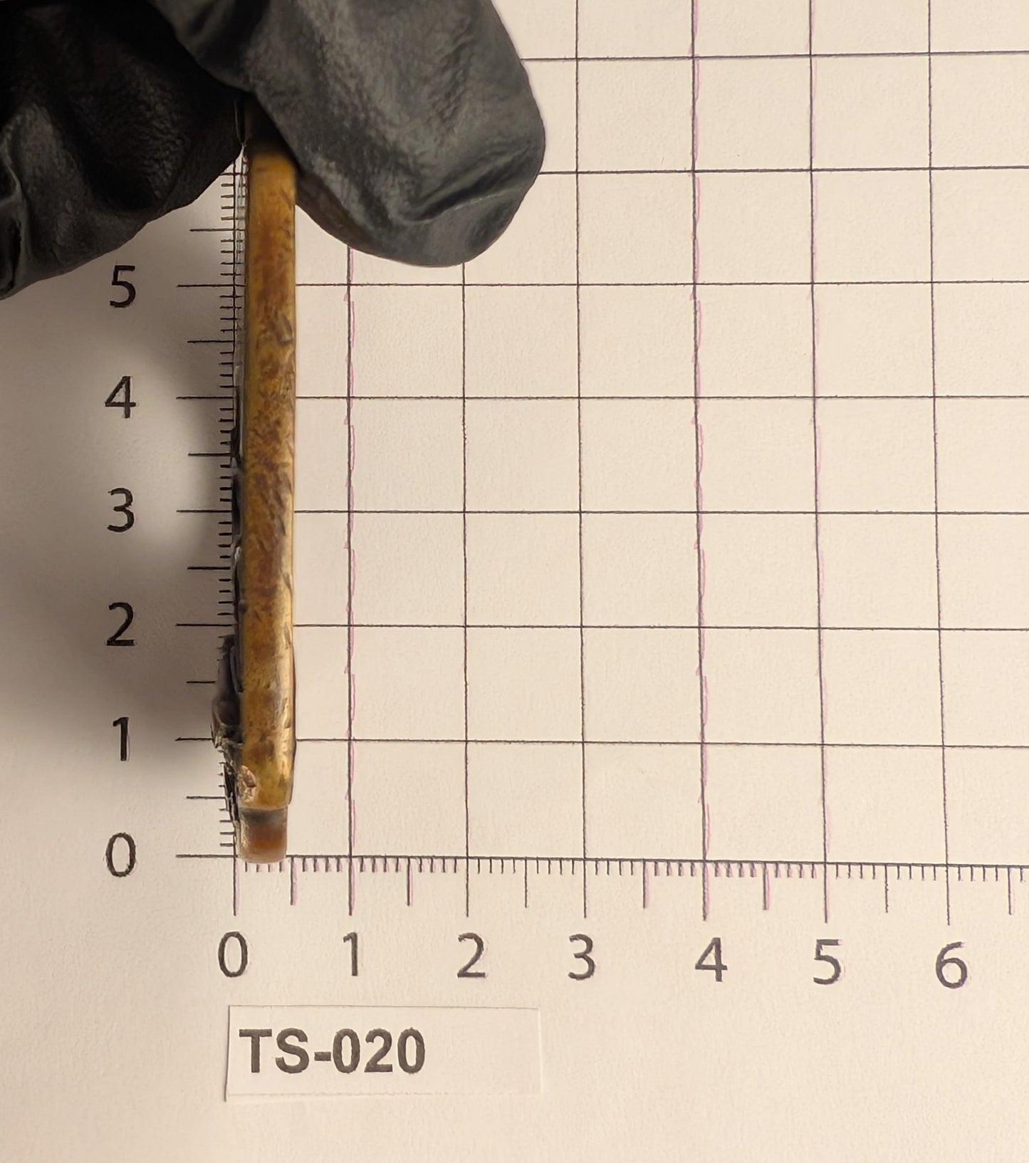 Brass Tsuba with Puppy among Pampas Grass - TS-020