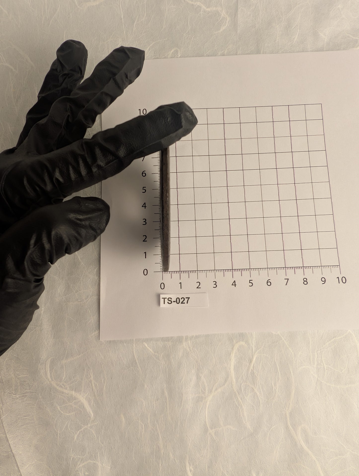 Iron Tsuba with Fern or Willow Branch Sukashi Design – TS-027