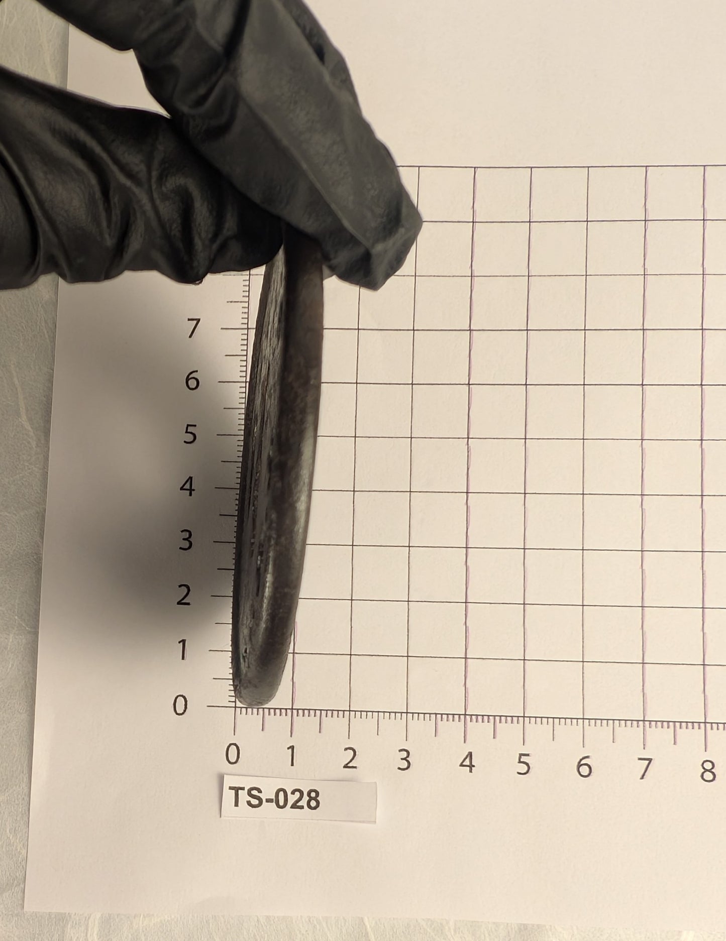 Iron Tsuba with Inlaid Butterfly and Blossoms – TS-028