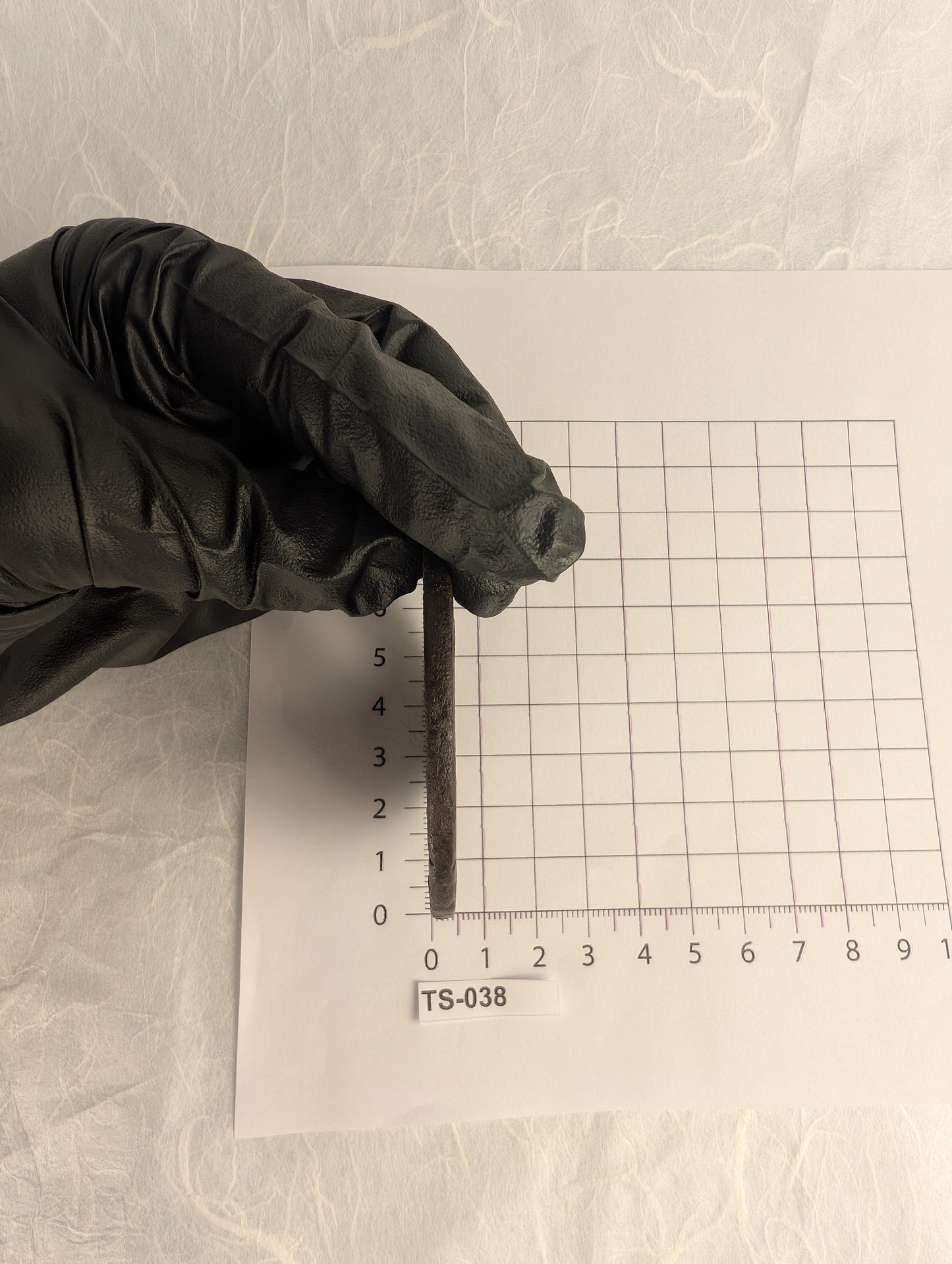 Iron Tsuba with Flower Petals – TS-038