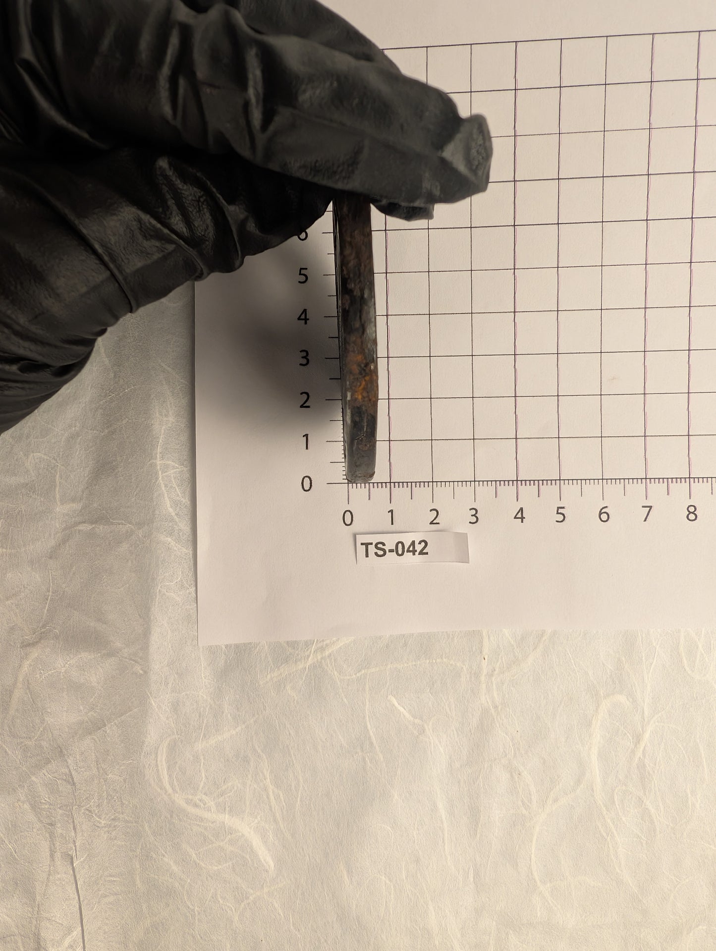 Iron Tsuba with Floral Relief – TS-042