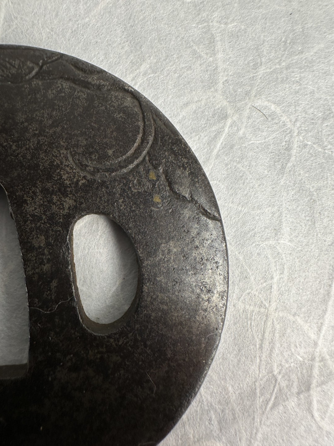 Iron Tsuba with Engraved Vine and Brass Inlay Details – TS-062
