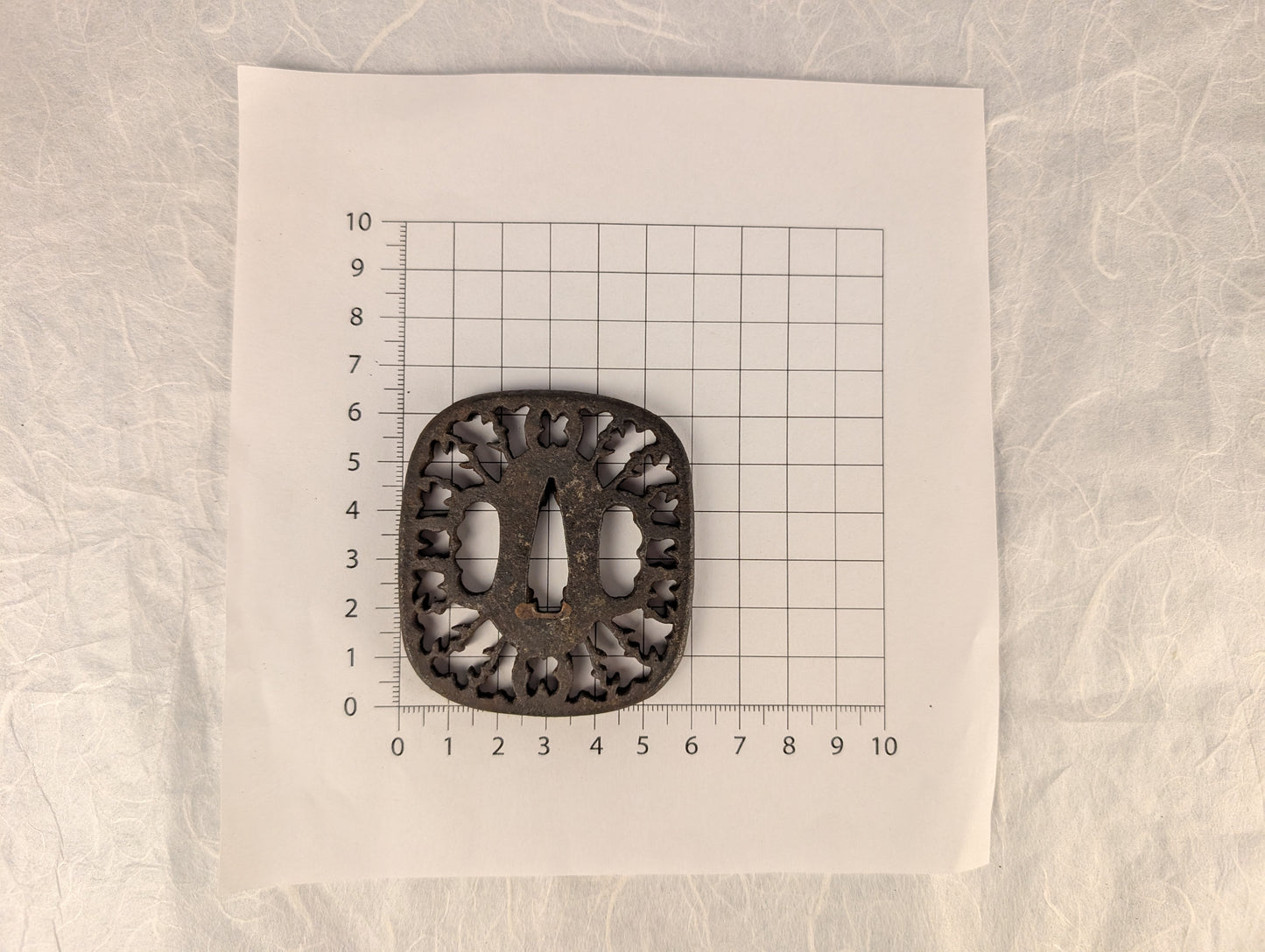 Iron Sukashi Tsuba with Pierced Floral Rim Motif – TS-119