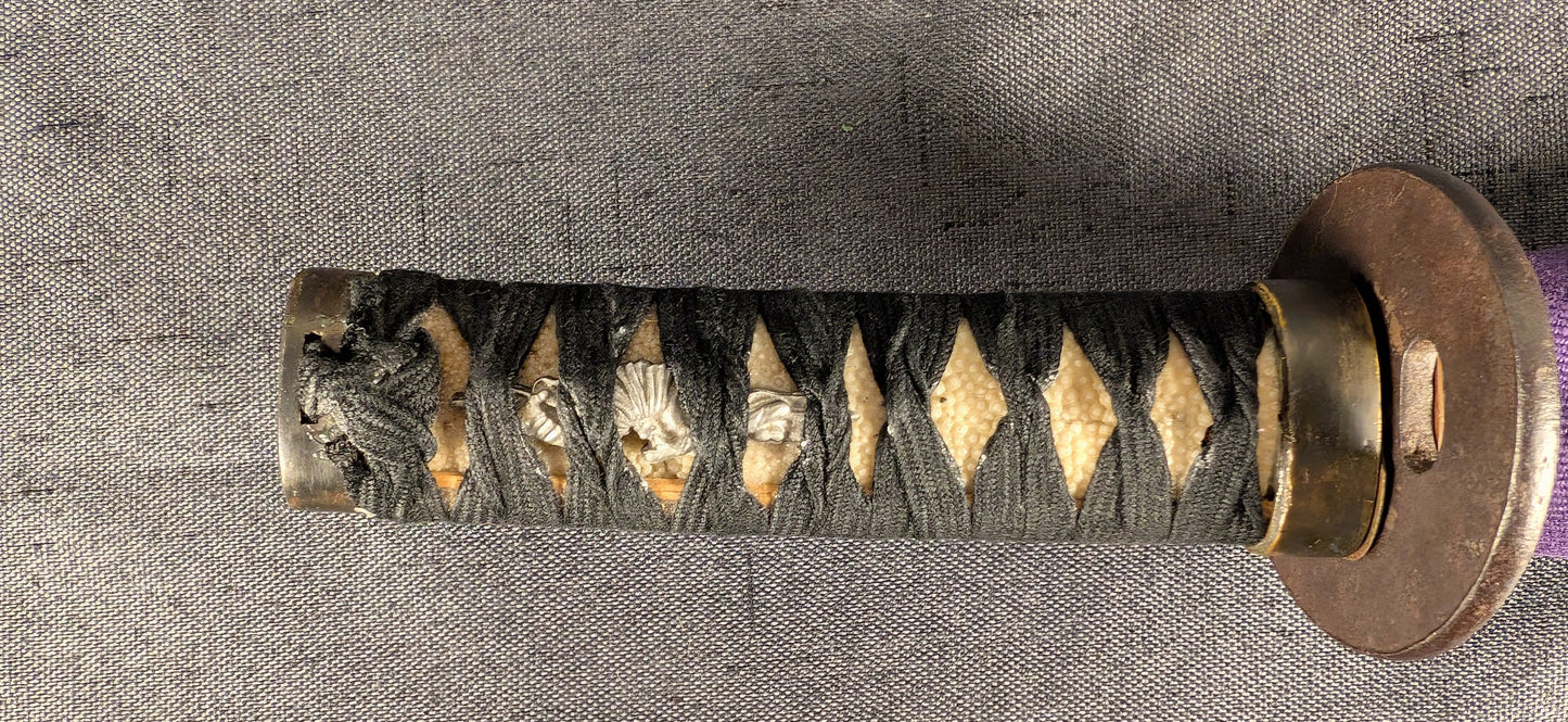 Mumei Shobu Zukuri Wakizashi In Simple Black Koshirae – NT-014