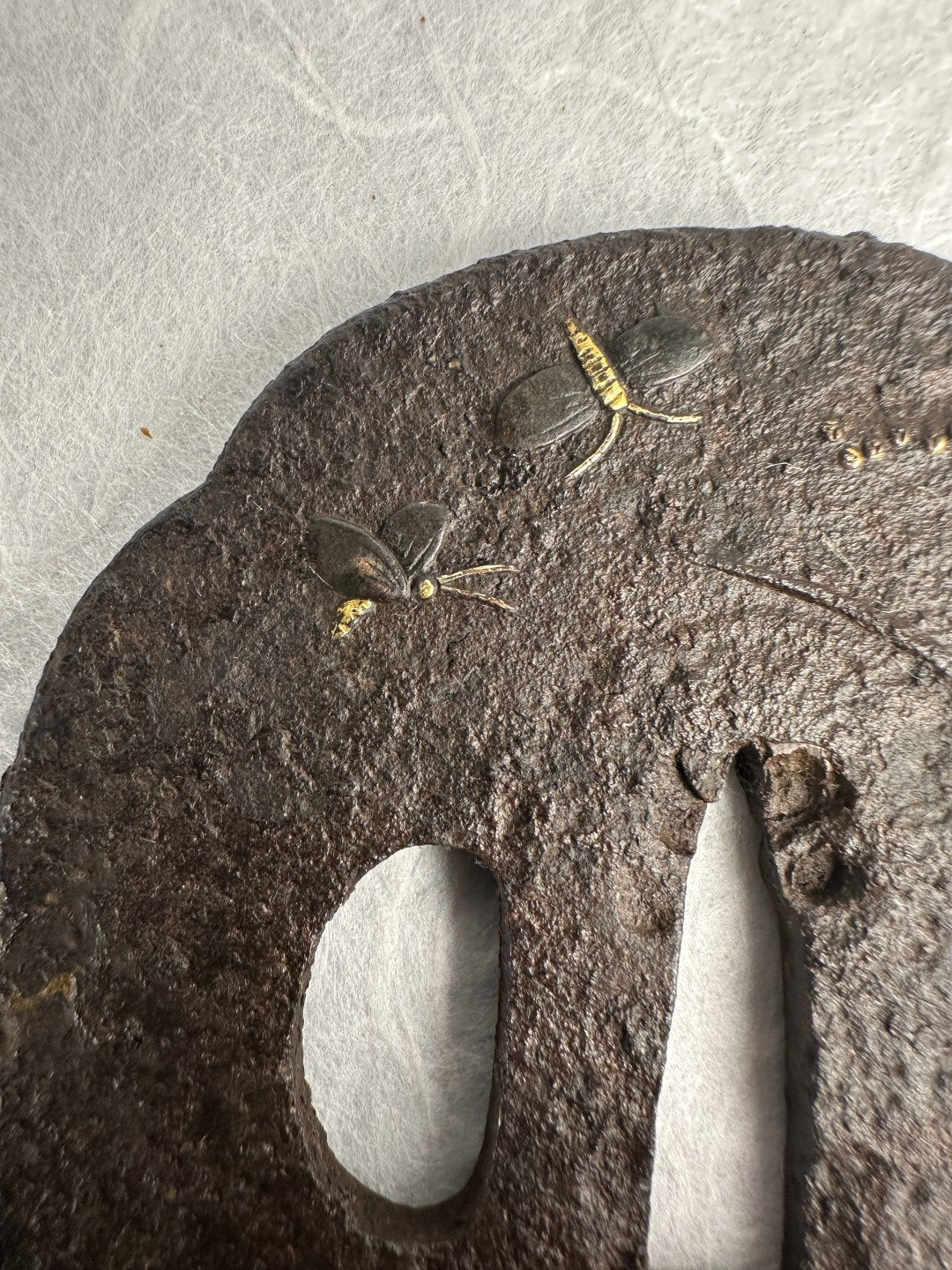 Iron Tsuba with Insects and Plants – TS-047