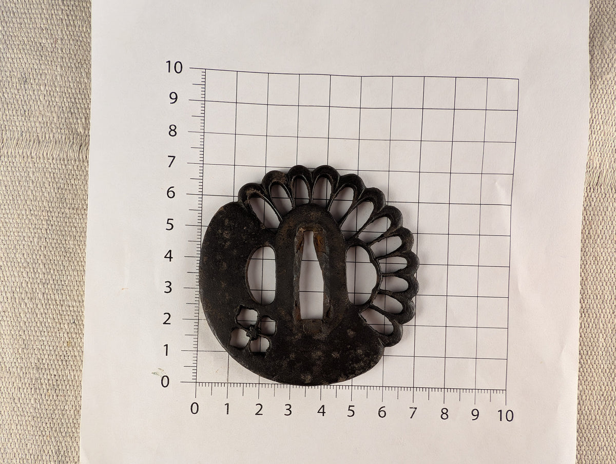 Iron Tsuba with Kiku and Hanabishi Motif – TS-184