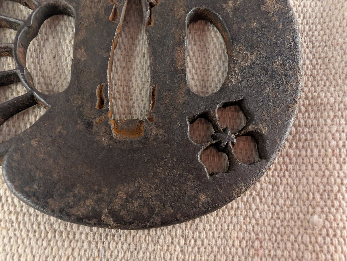 Iron Tsuba with Kiku and Hanabishi Motif – TS-184